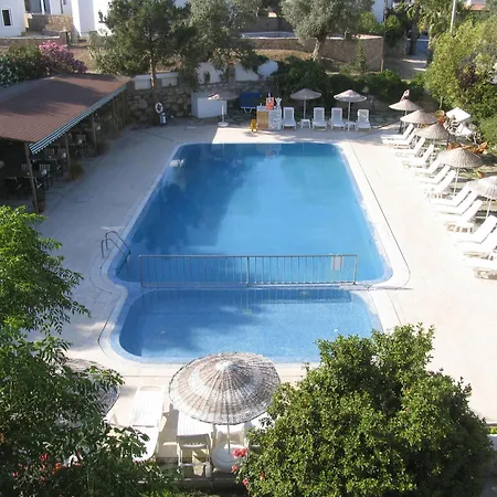 Hadi Apartamento