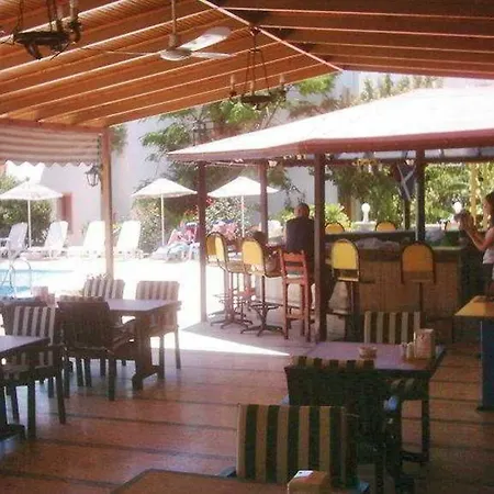 Hadi Bodrum